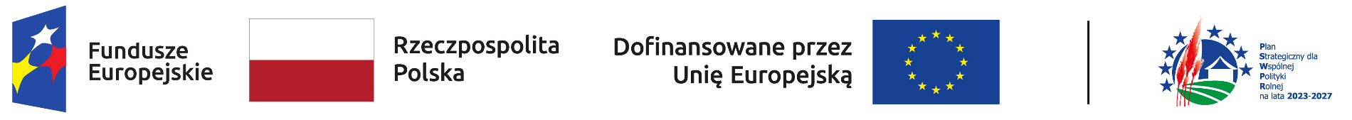 logo w poziomie